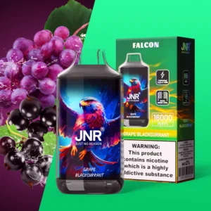 Jnr Falon 16 000 bouffées, cigarette électronique jetable au raisin et à la cassis
