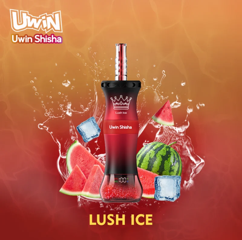 Uwin Shisha 300,000 300k Puffs Disposable Vape Dtl Hookah Lush Ice 3 Disposable Device
