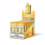 Vozol Rave 40,000 Puffs Disposable Vape, Mango Ice 1 Disposable Device