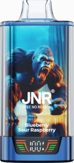 Jnr Rage Grilla 55,000 Puffs Disposable Vape Blueberry Sour Raspberry 2 Disposable Device