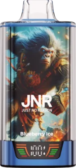 Jnr Rage Grilla 55,000 Puffs Disposable Vape Blueberry Ice Disposable Device
