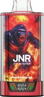 Jnr Rage Grilla 55,000 Puffs Disposable Vape Strawberry Ice Disposable Device
