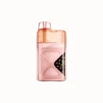 Vozol Neon 60000 60k Puffs Einweg Vape Peach Mango Watermelon Disposable Device