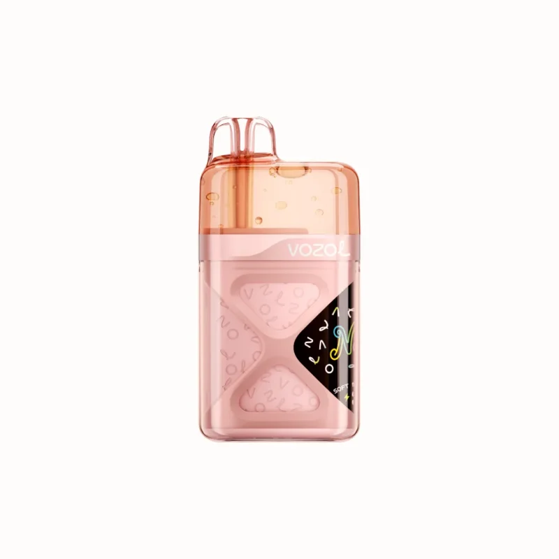 Vozol Neon 60000 60k Puffs Einweg Vape Peach Mango Watermelon Disposable Device