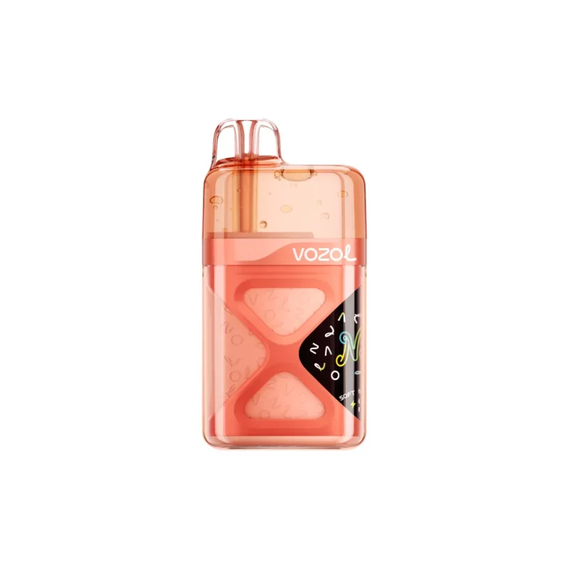 Vozol Neon 60000 60k Puffs Einweg Vape Strawberry Watermelon Disposable Device