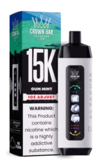 Acevape Al Fakher Ice Adjust 15 000 bouffées – Cigarette électronique jetable au goût de chewing-gum à la menthe – En stock en Europe – Appareil jetable