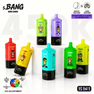 Acevape Bang Leader 450000 Zuege 15 In 1 Erdbeere Wassermelone Kiwi Passionsfrucht Guave Mango Eis Saurer Pfirsich Gesch