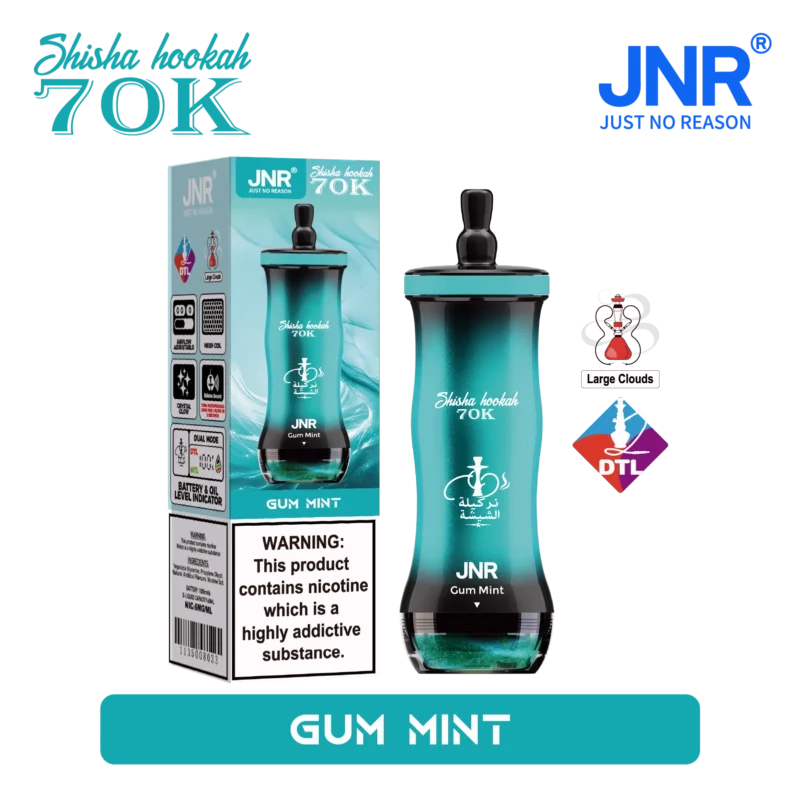 Acevape Jnr Shisha Hookah 70,000 Puffs Small Package Gum Mint 07 EU Stock Disposable Vape Device