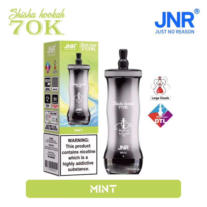 Acevape Jnr Shisha Hookah 70,000 Puffs, Small Package, Mint, 14 Euros, In Stock, Disposable Vape Device
