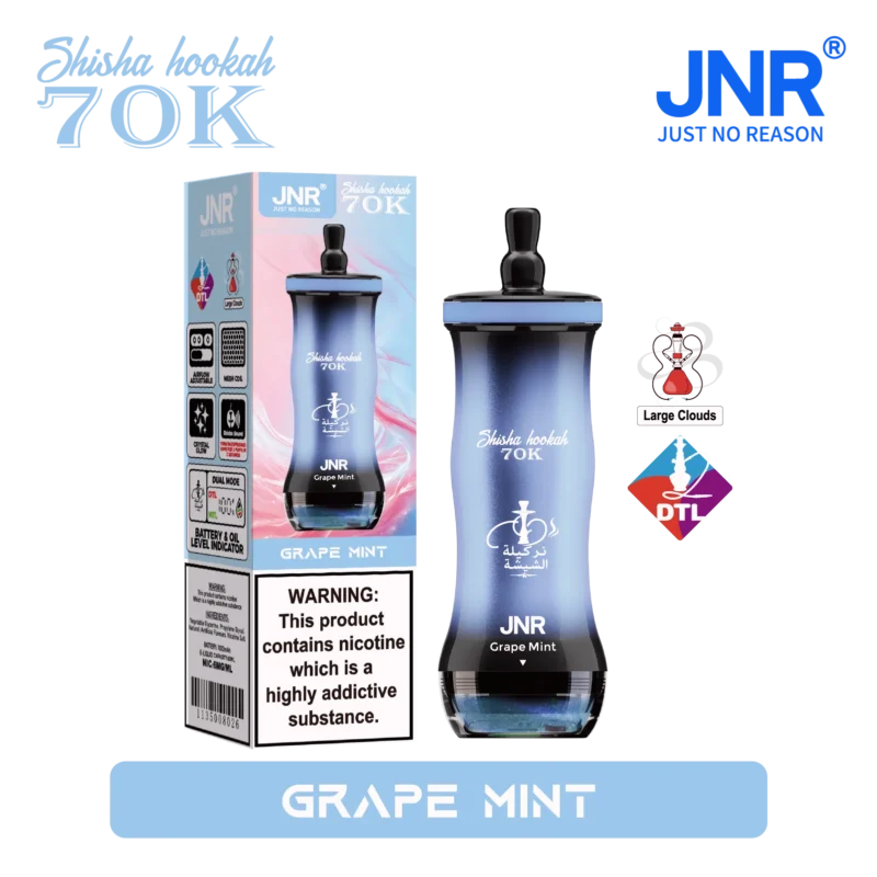 Acevape Jnr Shisha Hookah 700,000 Puffs Small Package Grape Mint 06 EU Stock Disposable Vape Device