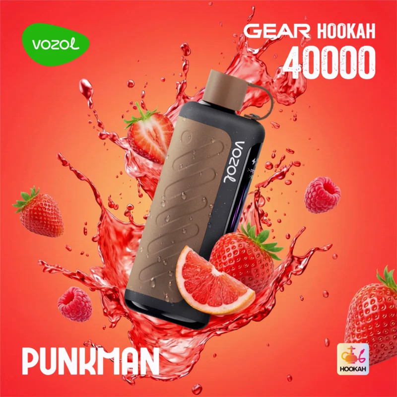 Acevape Vozol Gear Hookah 40000 Zuege Shisha Vape Punkman Eu Lager Disposable Device