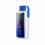 Acevape Vozol Star 20 000 bouffées - Cigarette électronique jetable « Blueberry Storm » - En stock en Europe - Appareil jetable