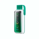 Acevape Vozol Star 20 000 bouffées - Cigarette électronique jetable saveur fraise-kiwi - En stock en Europe - Appareil jetable
