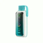 Acevape Vozol Star 20 000 bouffées - Cigarette électronique jetable aux arômes de framboise, pomme, pastèque et ananas - En stock en Europe - Appareil jetable