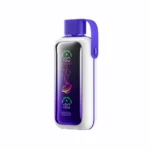 Acevape Vozol Star 20 000 bouffées, cigarette électronique jetable, saveur framboise-pastèque, en stock en Europe, dispositif jetable
