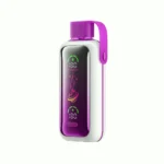 Acevape Vozol Star 20 000 bouffées, cigarette électronique jetable Love 777, en stock en UE
