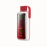 Acevape Vozol Star 20 000 bouffées - Cigarette électronique jetable « Tropical Mix » - En stock en Europe - Appareil jetable