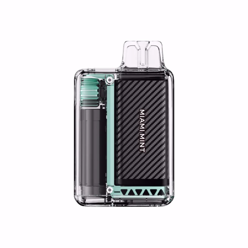 Acevape Vozol Vista 20000 Zuege Einweg Vape Miami Minze Rueckansicht Eu Lager Disposable Device