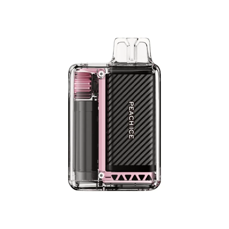 Acevape Vozol Vista 20000 Zuege Einweg Vape Pfirsich Eis Rueckansicht Eu Lager Disposable Device