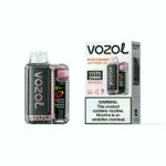 Acevape Vozol Vista 20000 Zuege Einweg Vape Pfirsich Mango Wassermelone Produkt Mit Einzelverpackung Eu Lager Disposable