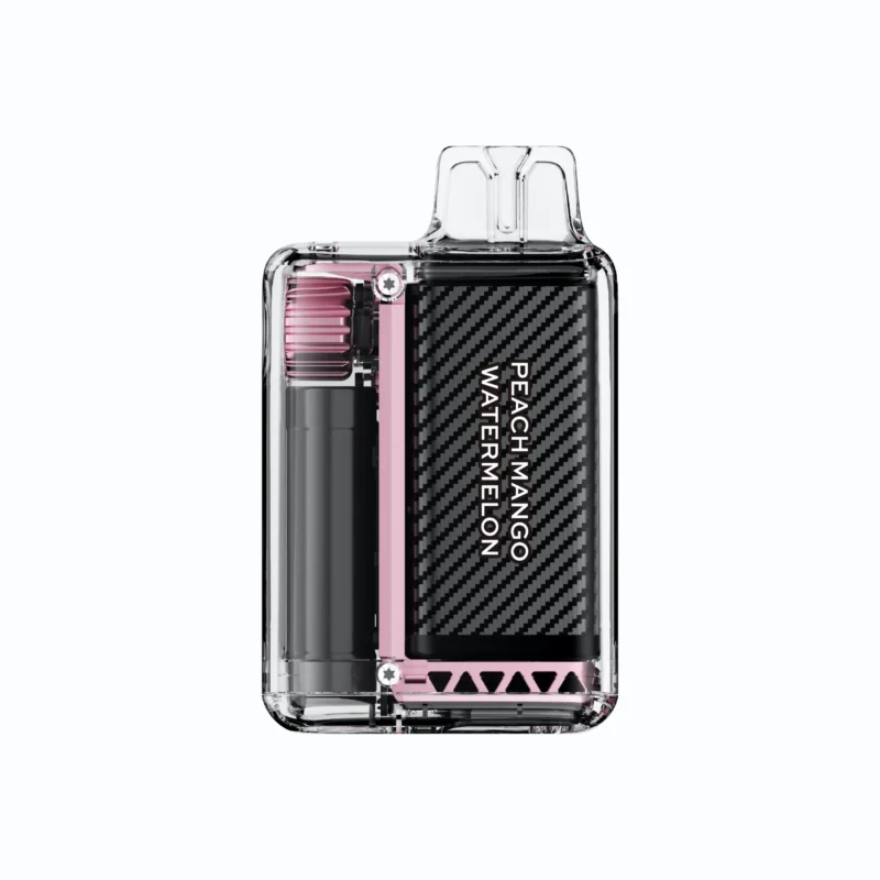 Acevape Vozol Vista 20000 Zuege Einweg Vape Pfirsich Mango Wassermelone Rueckansicht Eu Lager Disposable Device