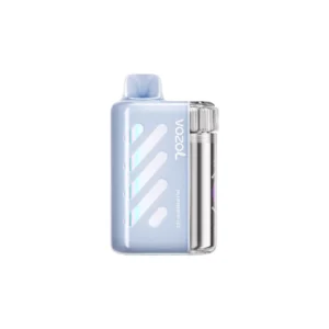 Acevape Vozol Vista 40 000 bouffées, cigarette électronique jetable, saveur myrtille glacée, vue de l'appareil, en stock en UE, appareil jetable