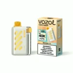 Acevape Vozol Vista 40 000 bouffées - Cigarette électronique jetable « Mango Ice » - Appareil et emballage - Stock UE - Appareil jetable