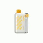 Acevape Vozol Vista 40 000 bouffées, vapoteuse jetable, saveur mangue glacée, vue de l'appareil, en stock en UE, appareil jetable