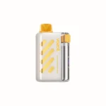 Acevape Vozol Vista 40 000 bouffées, cigarette électronique jetable, saveur mangue-fruit de la passion, vue de l'appareil, en stock en Europe, appareil jetable