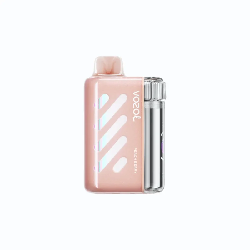 Acevape Vozol Vista 40 000 bouffées, cigarette électronique jetable, arôme pêche-baies, vue de l'appareil, en stock en UE, appareil jetable