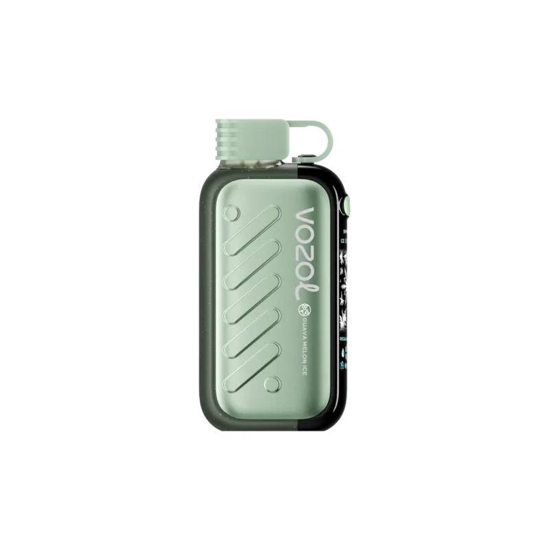 Vozol Gear 50000 Puffs Einweg Vape Guava Melon Ice Disposable Device