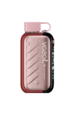 Vozol Gear 50000 Puffs Einweg Vape Two Apples Disposable Device