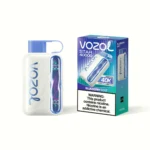 Vozol Star 40 000 bouffées – Cigarette électronique jetable à la menthe et à la myrtille