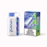 Vozol Star 40 000 bouffées - Cigarette électronique jetable aux arômes de myrtille et de pastèque