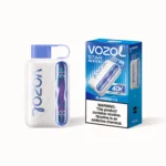 Vozol Star 40 000 bouffées - Cigarette électronique jetable Vapeblueberry Ice