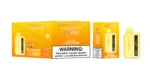Acevape Bang King Magic Box 40,000 Puffs Mango-Passion Fruit Flavor 009 Disposable Vape Device