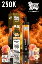 Acevape Bang King Oushami Shisha Wasserpfeife 250000 Zuege Pfirsich Eis Geschmacksbild 011 Disposable Vape Device