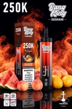 Acevape Bang King Oushami Shisha Wasserpfeife 250000 Zuege Pfirsich Mango Wassermelone Geschmacksbild 007 Disposable Vap