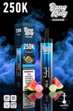 Acevape Bang King Oushami Shisha Wasserpfeife 250000 Zuege Wassermelone Kaugummi Geschmacksbild 012 Disposable Vape Devi