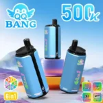 Acevape Qq Bang 500000 Zuege 6 In 1 Geschmackskombination 006 Disposable Vape Device