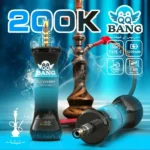 Acevape Qq Bang Shisha 200000 Zuege Blaubeere 002 Disposable Vape Device