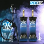 Acevape Qq Bang Shisha 200000 Zuege Blaubeere Himbeere 001 Disposable Vape Device