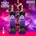 Acevape Qq Bang Shisha 200000 Zuege Traube Eis 004 Disposable Vape Device